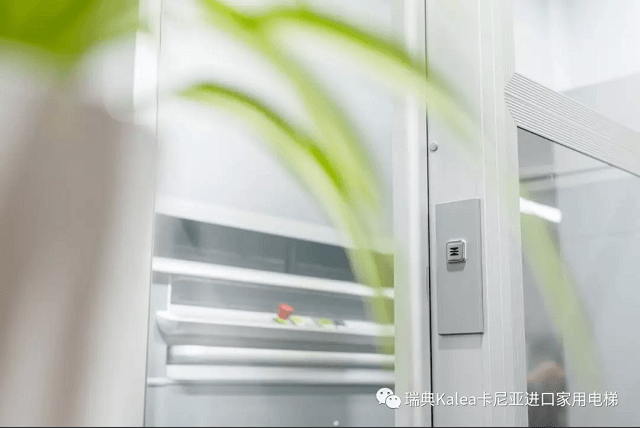 瑞典进口电梯