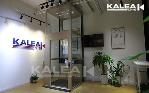 螺杆式家用电梯