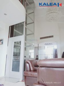 上海2层家用别墅电梯-4