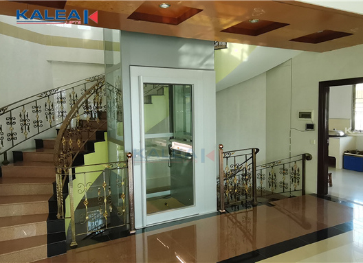 阳江别墅电梯项目