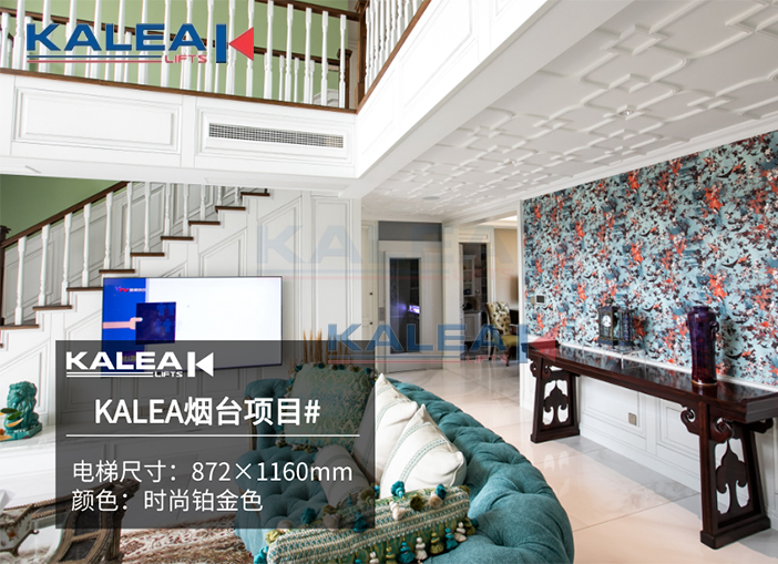 烟台2层别墅电梯