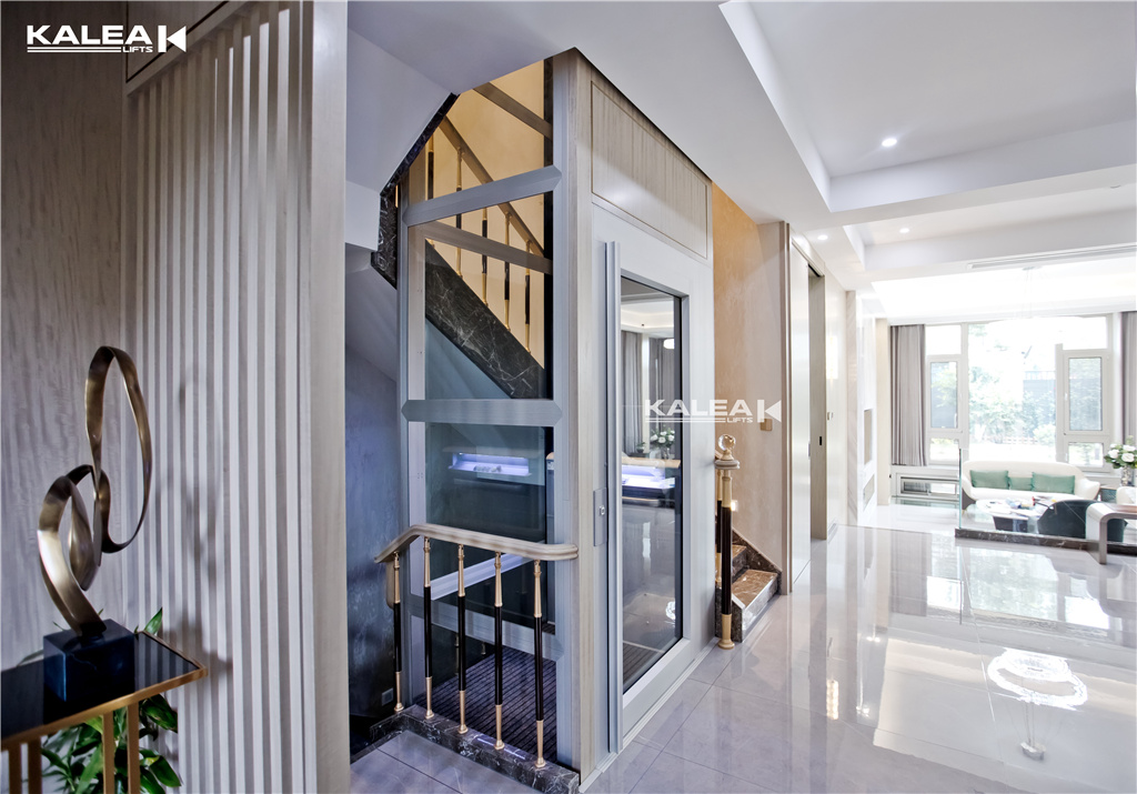 卡尼亚电梯温州案例-7