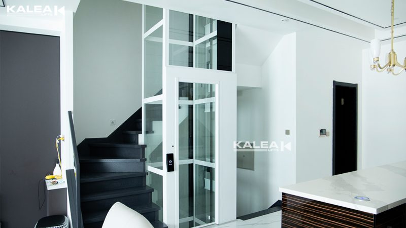 卡尼亚螺杆电梯03