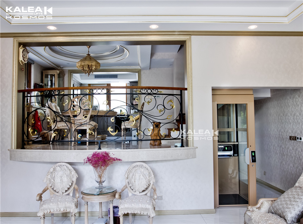 卡尼亚电梯上海浦东案例01