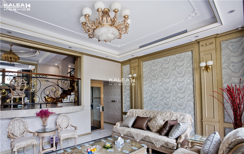 卡尼亚电梯上海浦东案例07