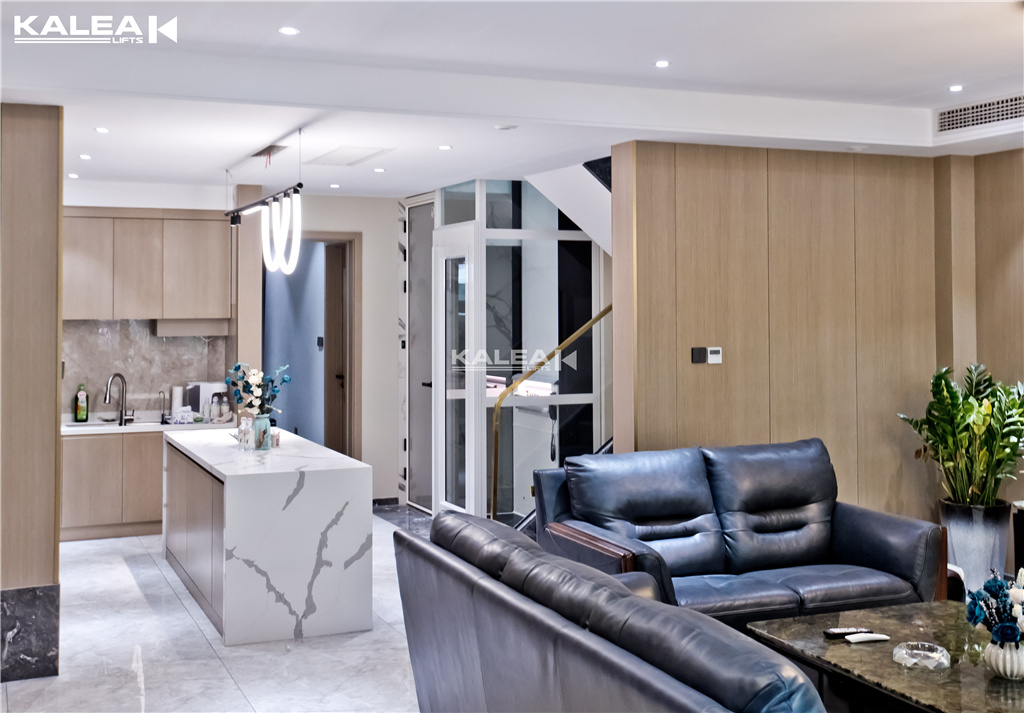 卡尼亚电梯西安案例04