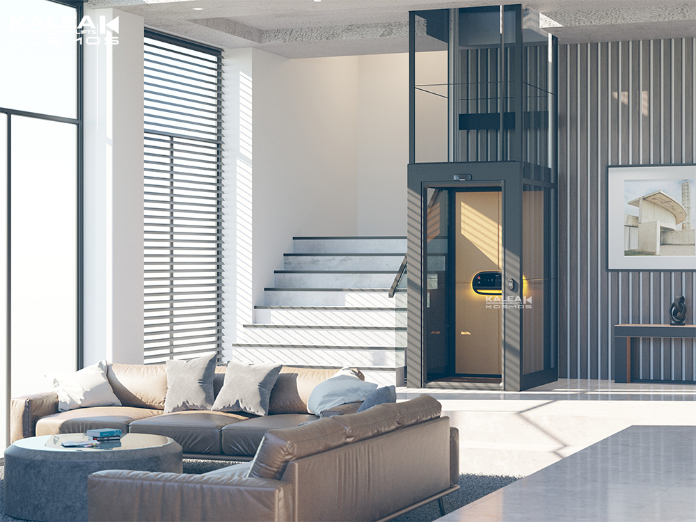 卡尼亚轿厢式家用电梯