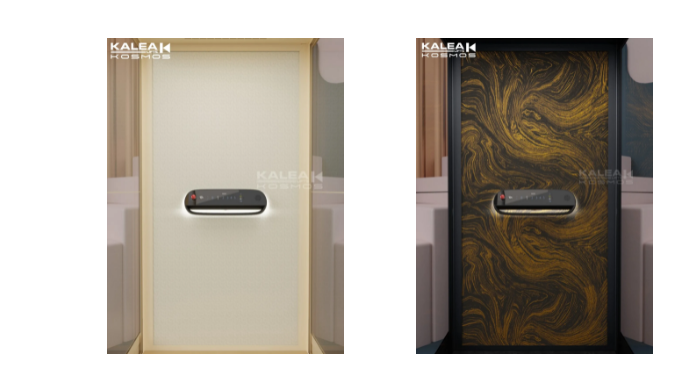 卡尼亚X80家用电梯背景