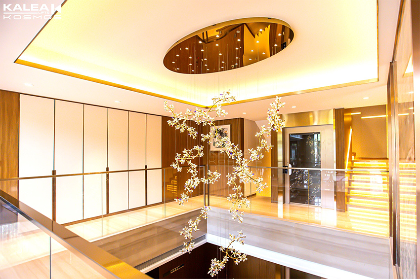 卡尼亚南京别墅电梯项目