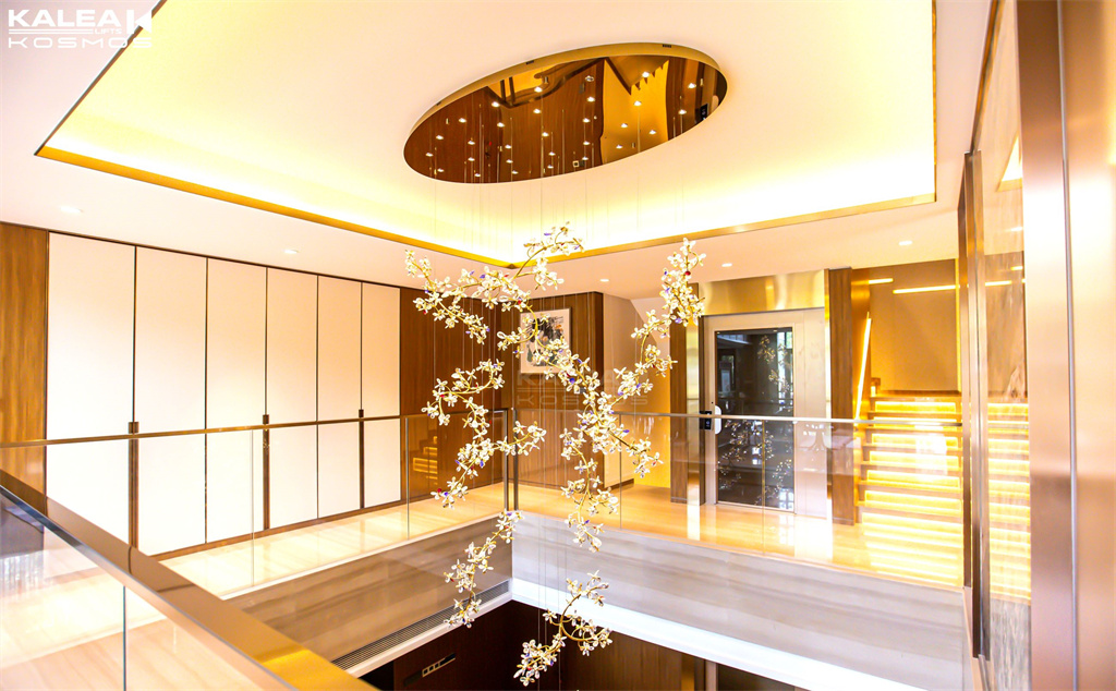 井道内装别墅电梯