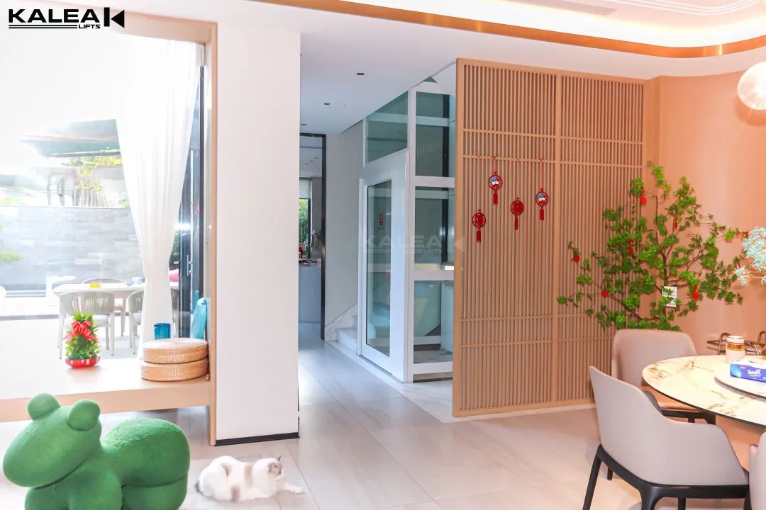 卡尼亚家用电梯苏州案例