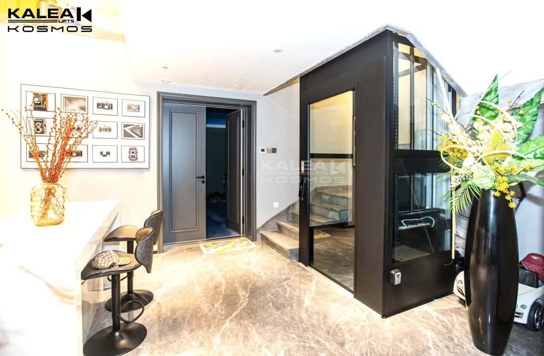 卡尼亚家用电梯东莞案例