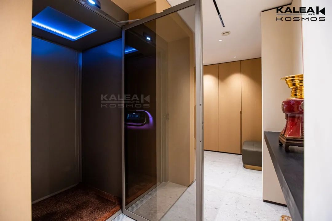 卡尼亚家用电梯汕尾案例