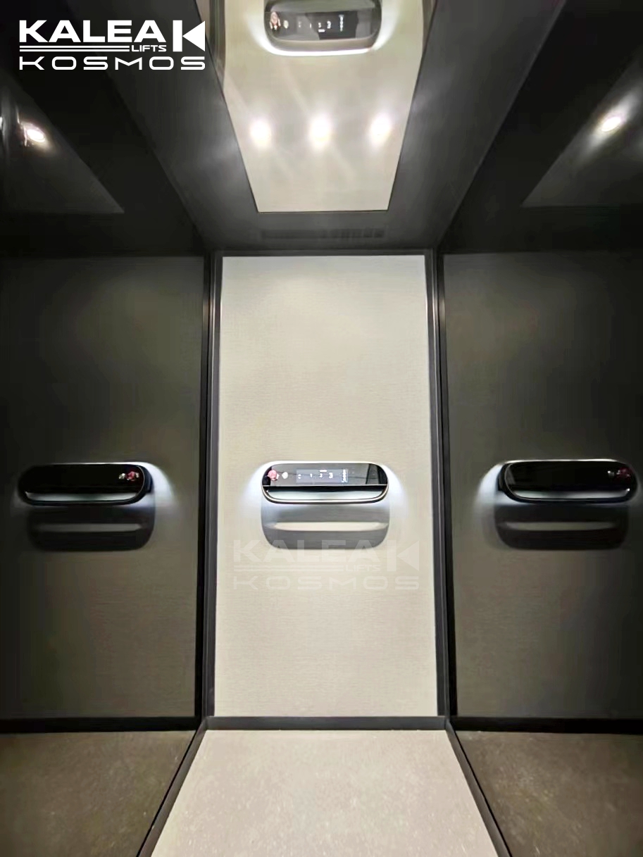 卡尼亚家用电梯X30泰国曼谷案例2024