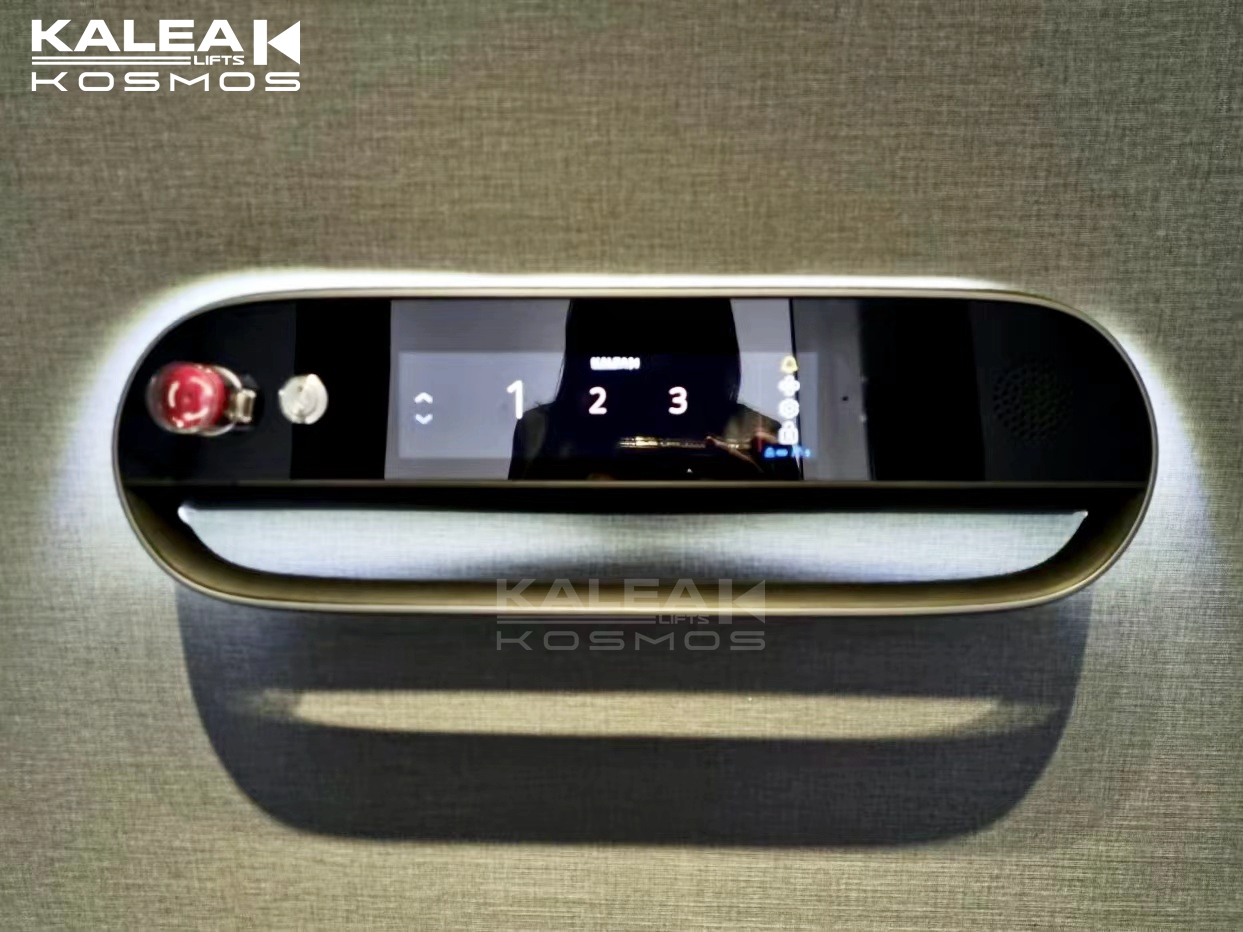 卡尼亚家用电梯X30泰国曼谷案例2024