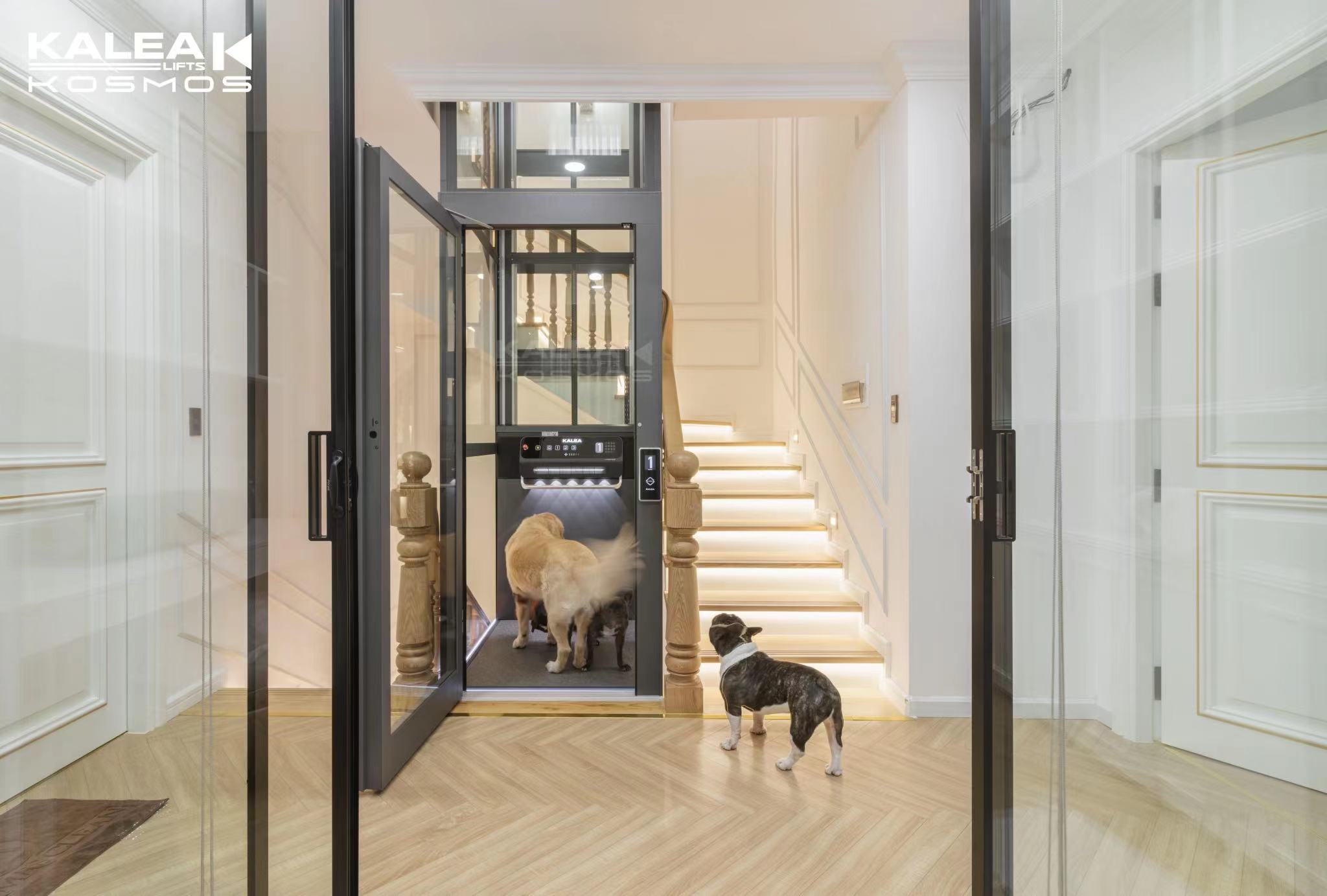 卡尼亚家用电梯K90越南胡志明案例2024