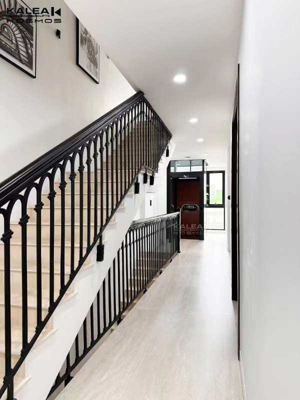 卡尼亚家用电梯越南胡志明案例