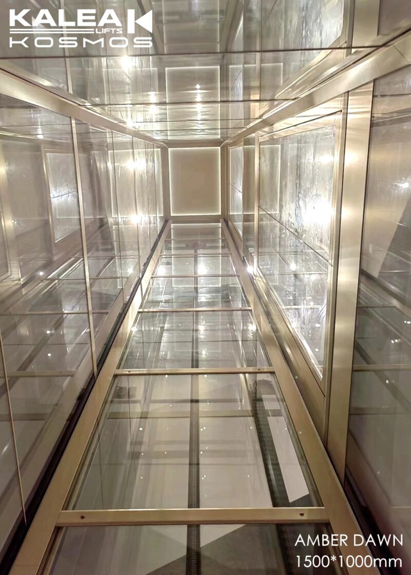 卡尼亚家用电梯X50江苏泰州案例2024