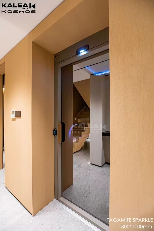 卡尼亚家用电梯X20广东汕尾案例2024