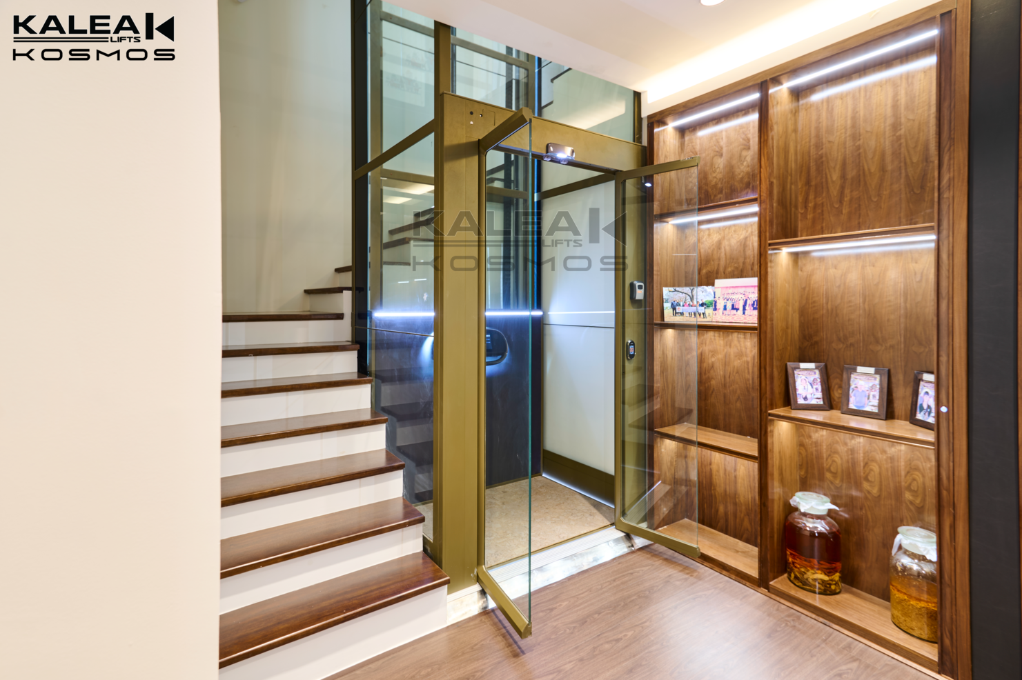 卡尼亚家用电梯X50越南河内案例2024