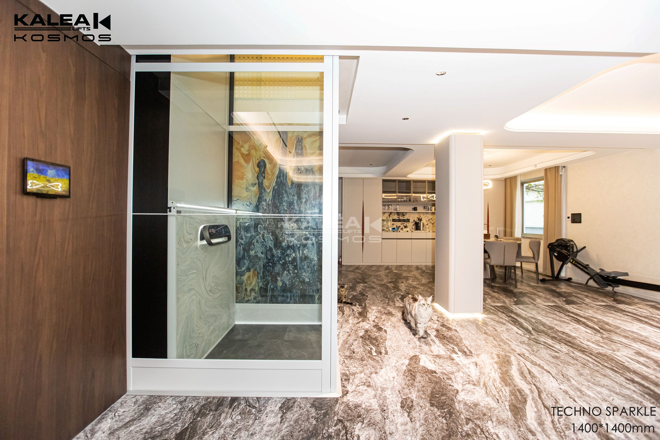 卡尼亚家用电梯X50南京案例2024