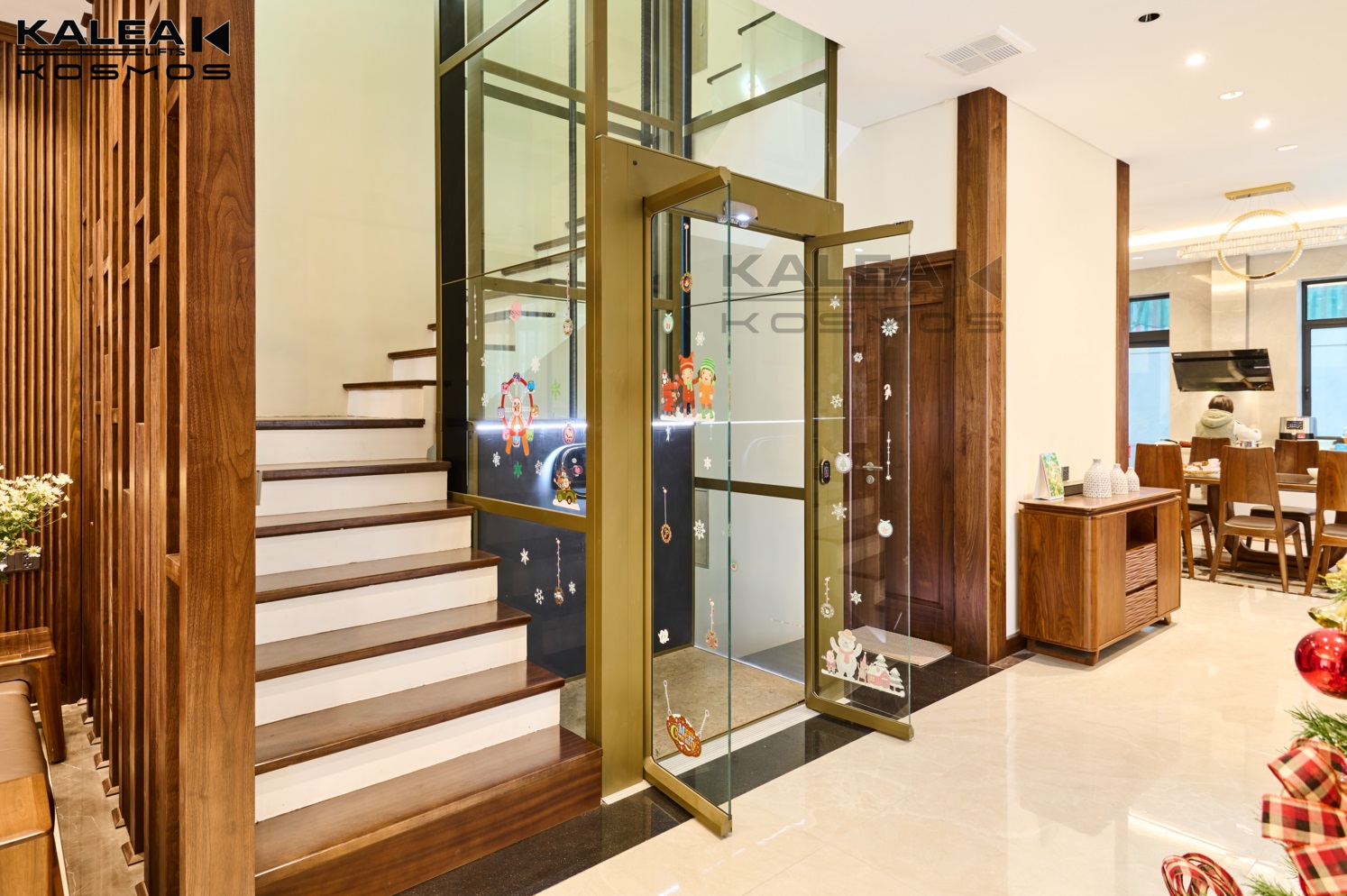 卡尼亚家用电梯X50越南案例