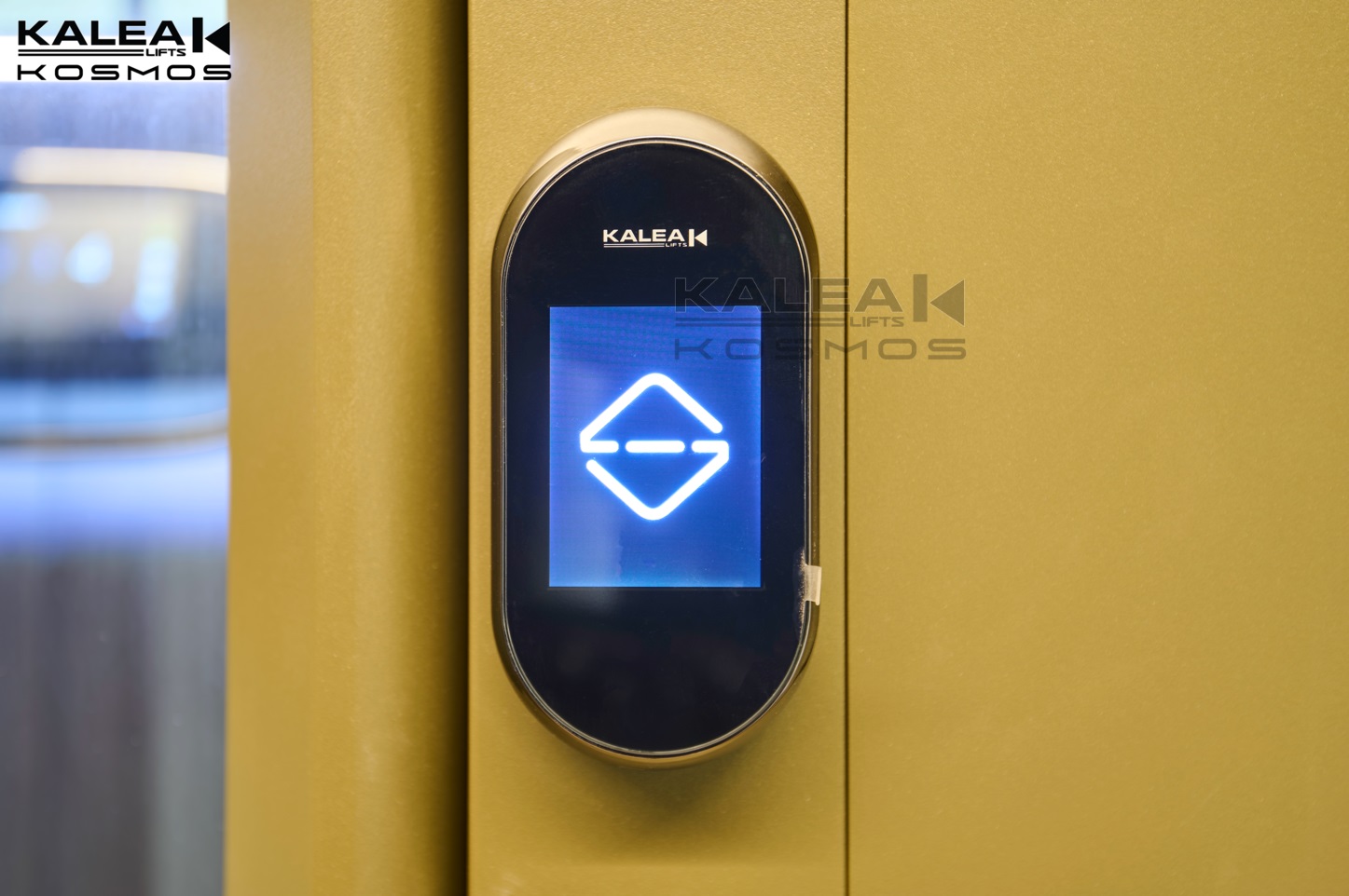 卡尼亚家用电梯X50越南案例