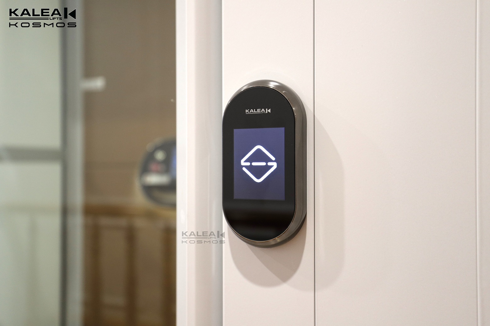 卡尼亚家用电梯X80越南河内案例