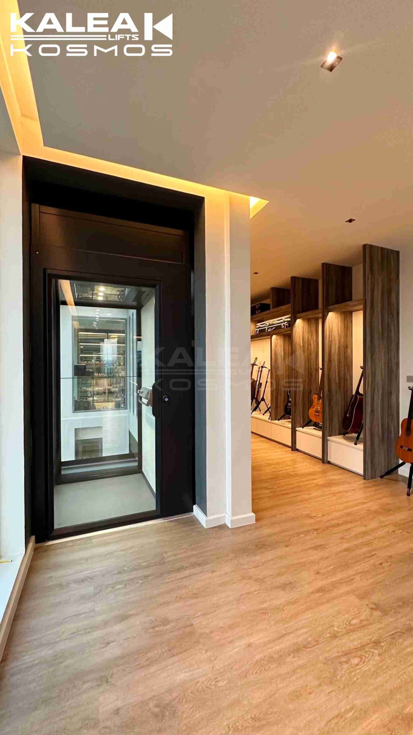 卡尼亚家用电梯X80泰国案例2024