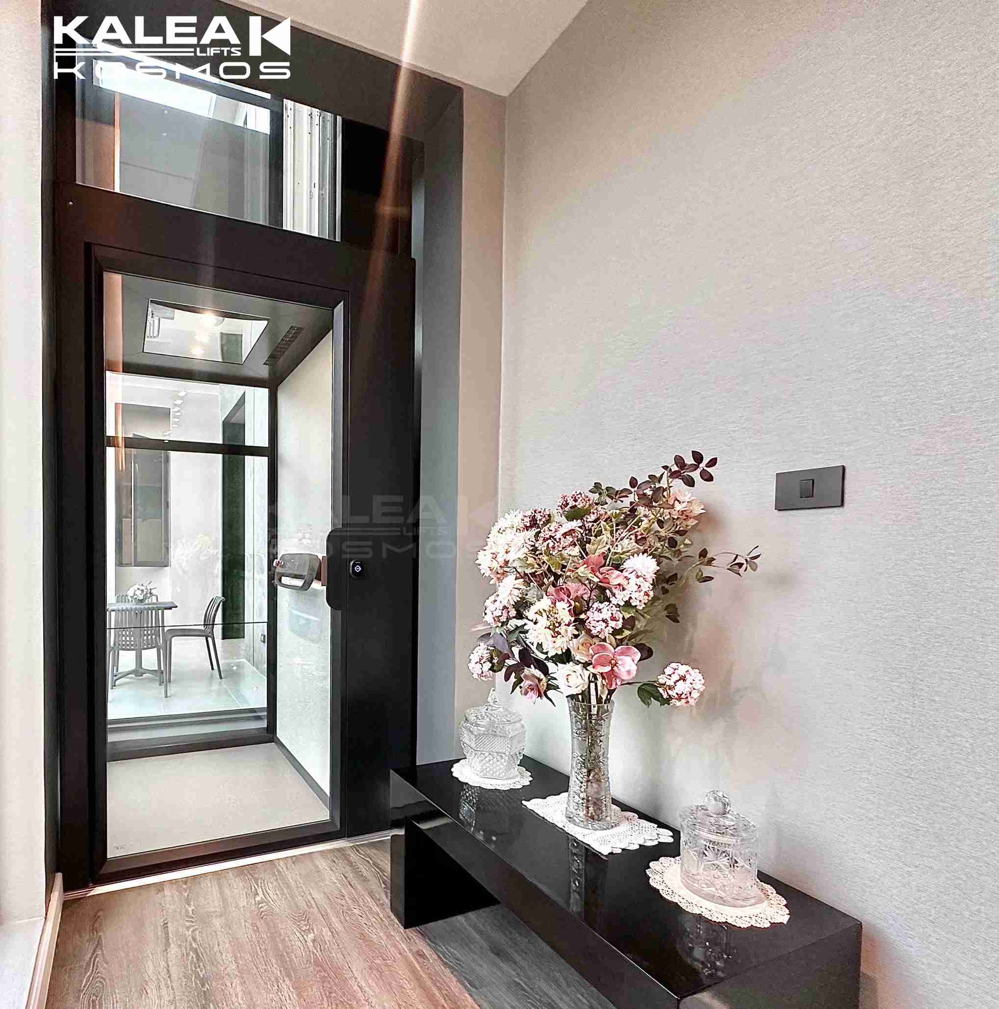 卡尼亚家用电梯X80泰国案例2024