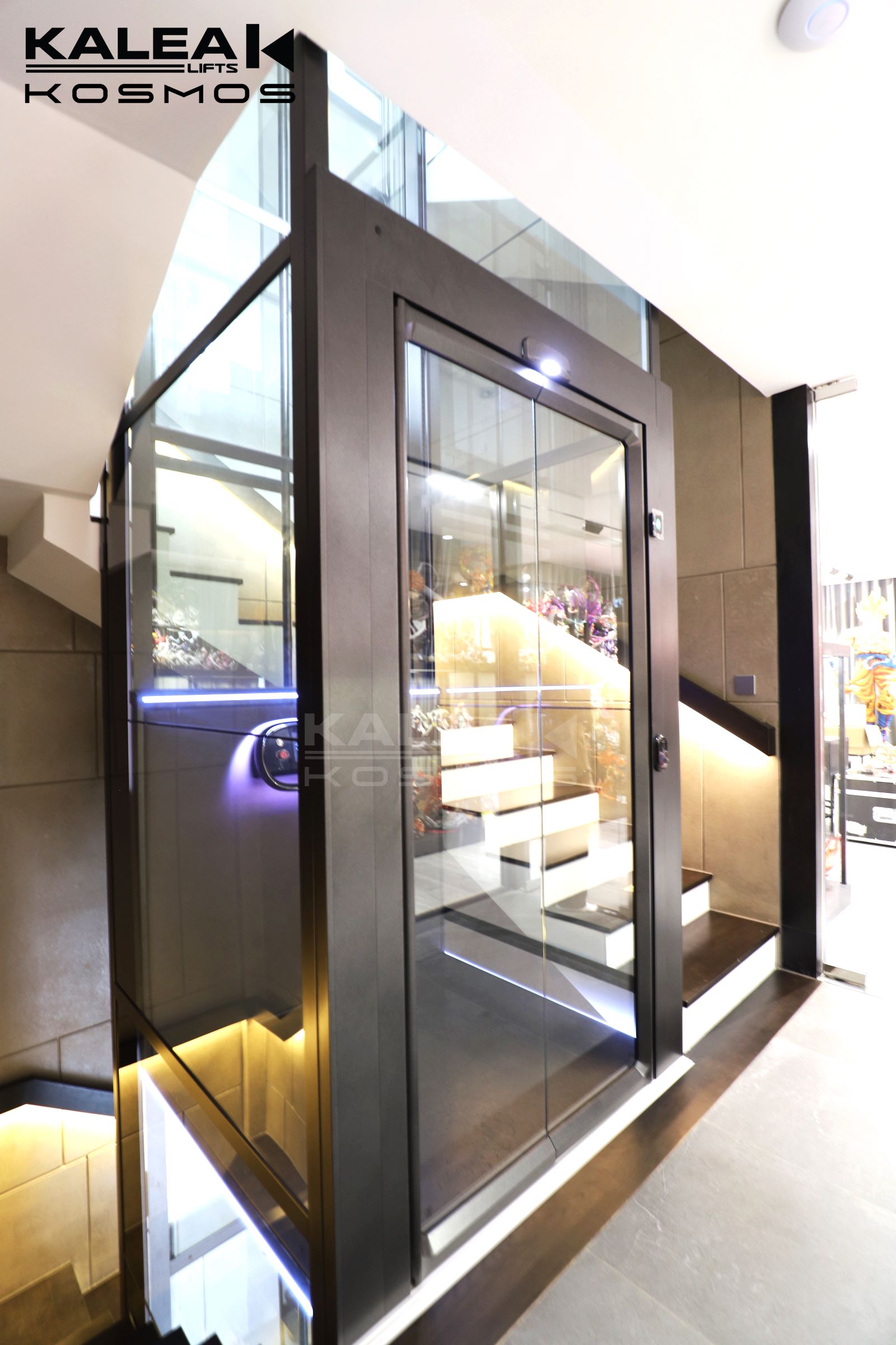 卡尼亚家用电梯X50越南案例