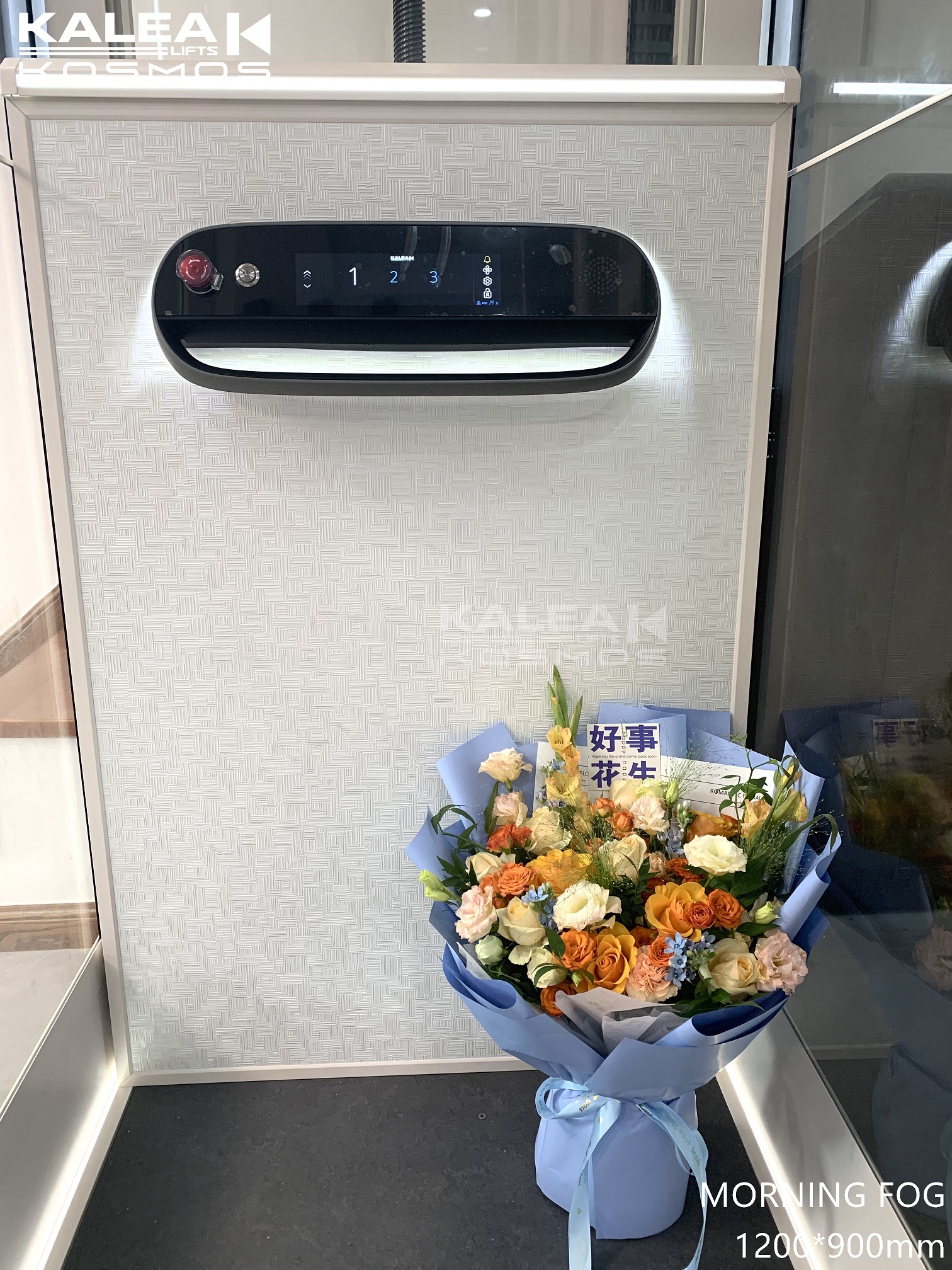 卡尼亚家用电梯X50浙江嘉兴安装案例